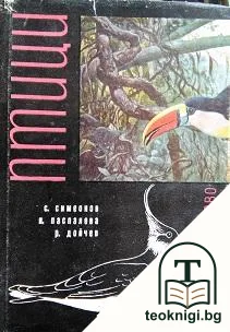Птици — корица