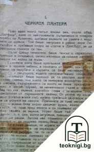 Сребърното езеро — корица
