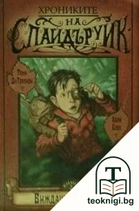 Хрониките на Спайдъруик. Книга 2: Виждащият камък — корица