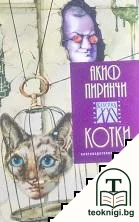 Котки — корица