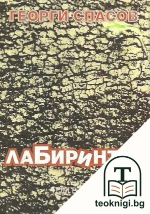 Лабиринтът. Том 2 — корица