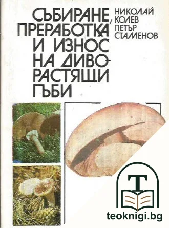 Събиране, преработка и износ на диворастящи гъби — корица