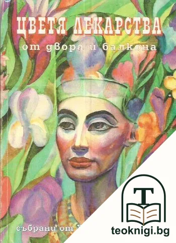 Цветя, лекарства от двора и балкона — корица