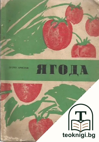 Ягода — корица