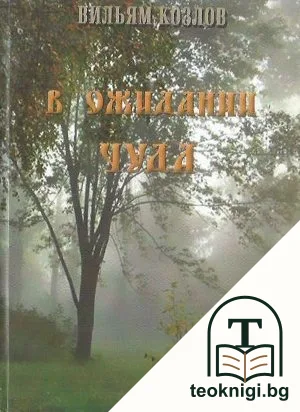 В ожидании чуда — корица