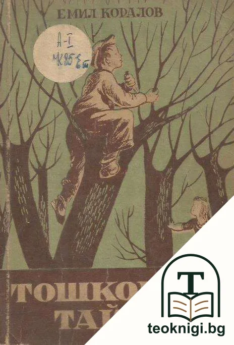 Тошковата тайна — корица