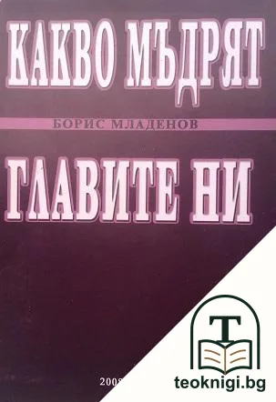 Какво мъдрят главите ни — корица