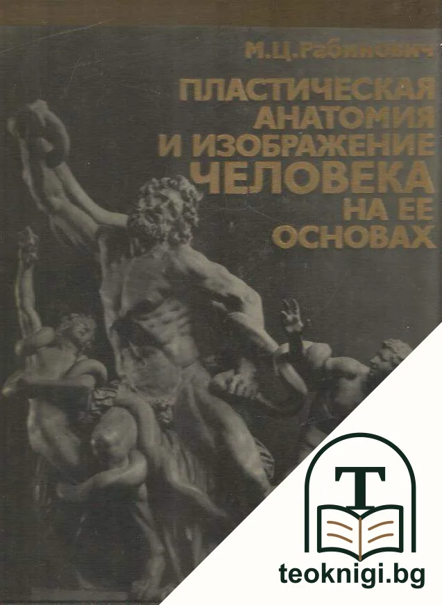 Пластическая анатомия и изображение человека на ее основах — корица
