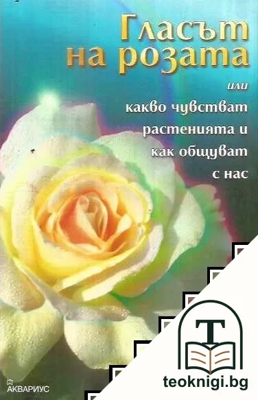 Гласът на розата — корица