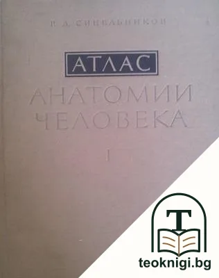 Атлас анатомии человека в трех томах. Том 1: Учение о костях, суставах, связках и мышцах — корица