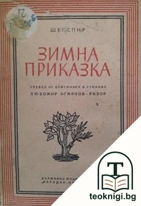 Зимна приказка — корица