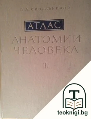 Атлас анатомии человека в трех томах. Том 3: Учение о нервной системе, органах чувств и органах внутренней секреции — корица