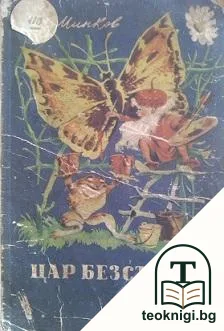 Цар Безсънко — корица