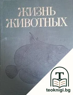 Жизнь животных. В семи томах. Том 4: Ланцетники, круглоротые, хрящевые рыбы, костные рыбы — корица