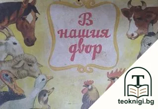 В нашия двор — корица