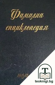 Фамилна енциклопедия Larousse. Том 6: Живопис, архитектура, скулптура — корица