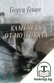 Камъчета от мозайката — корица